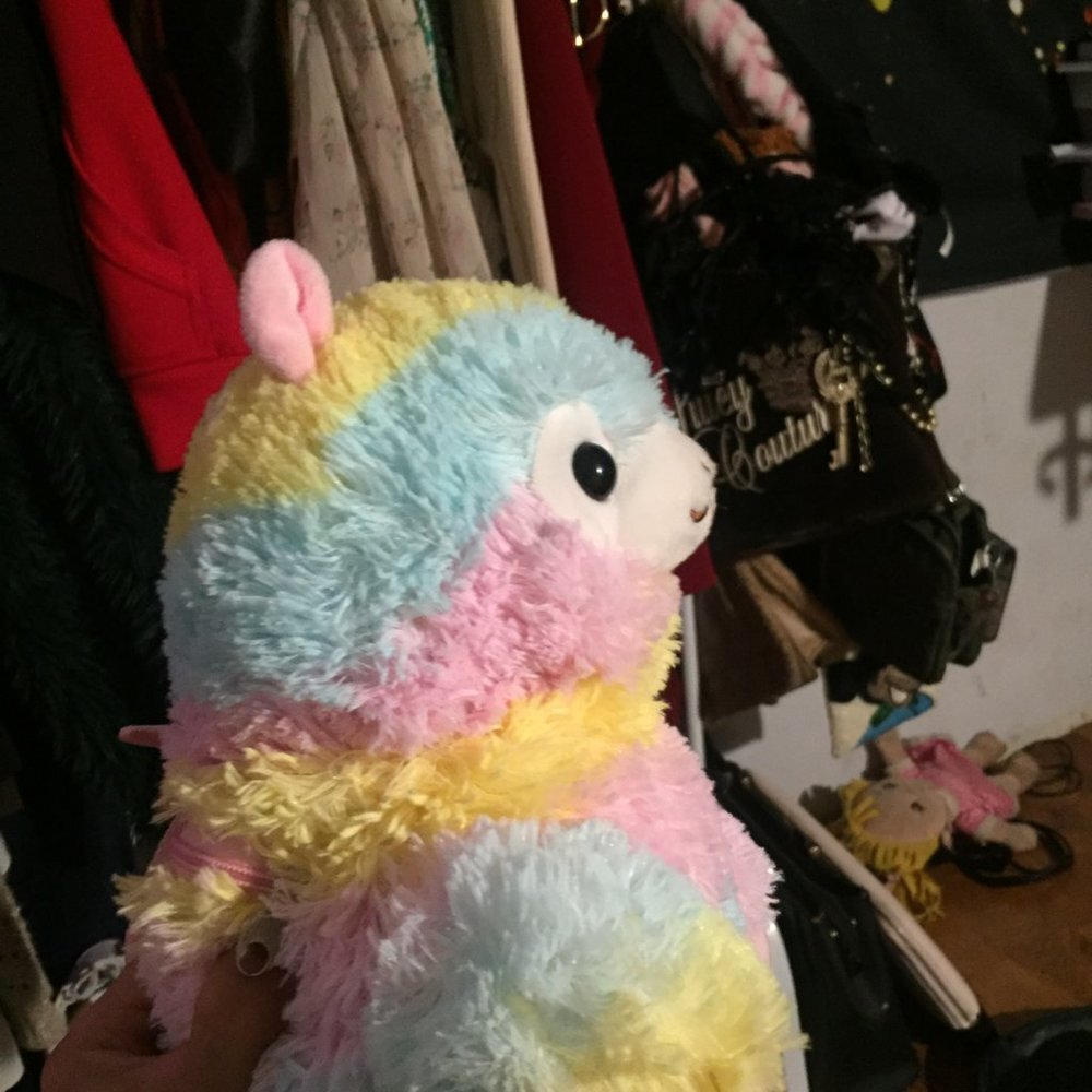 Rainbow Lama Bag - Picture 4 of 10